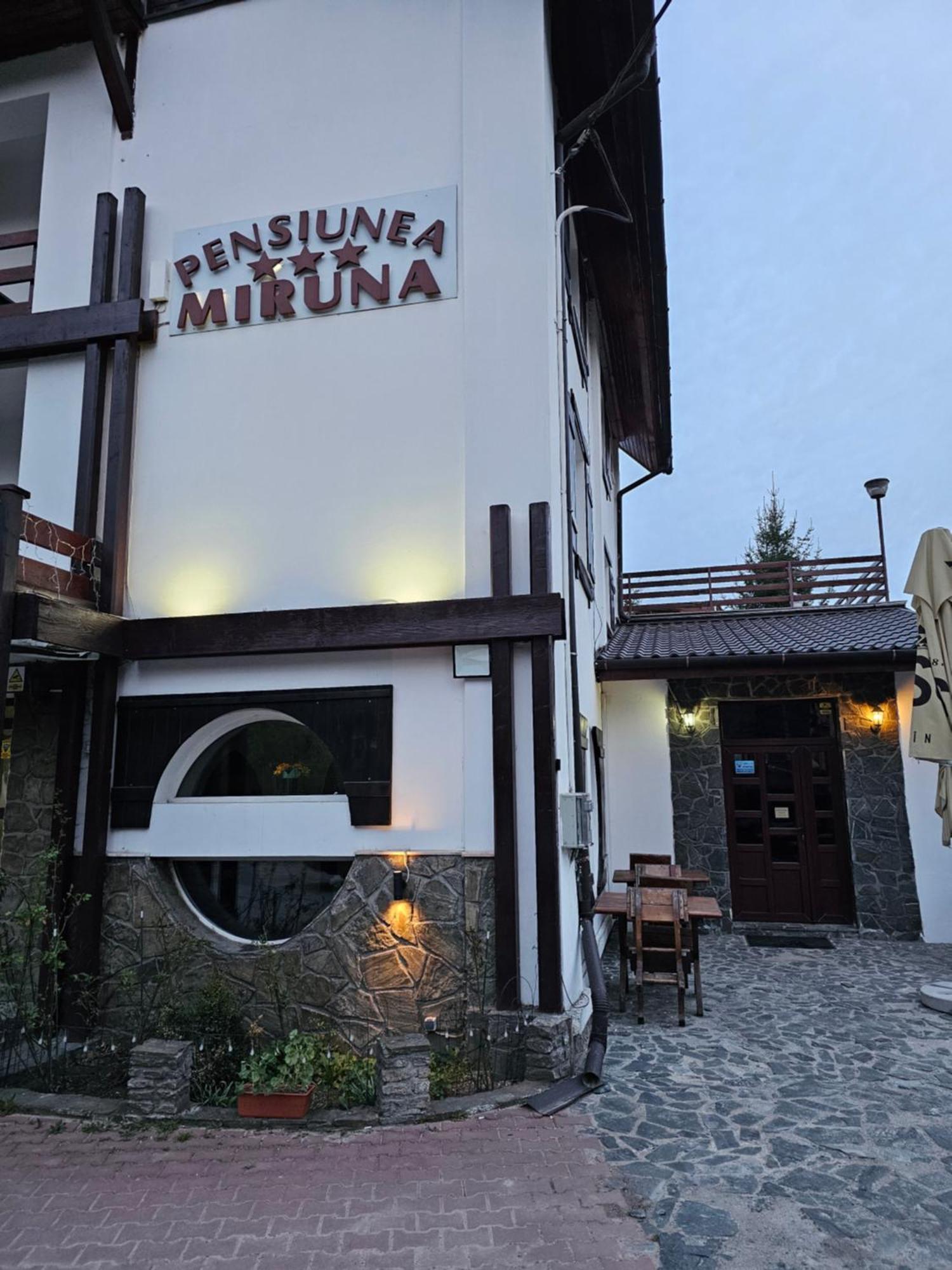 Pensiunea Miruna Hotel Moieciu de Jos Luaran gambar